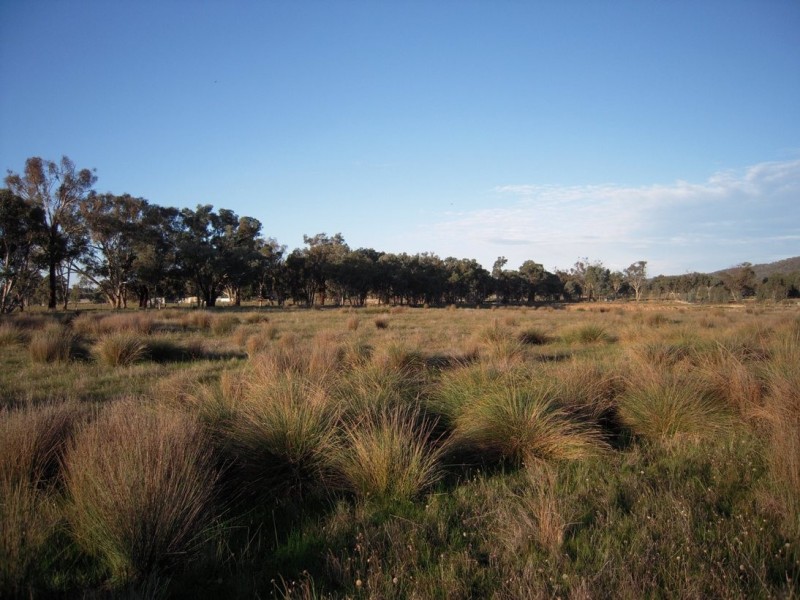 “Nesbitts” 40 D2 Access Road, Chiltern VIC 3683