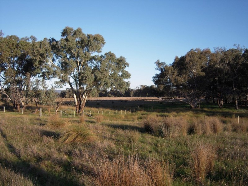 “Nesbitts” 40 D2 Access Road, Chiltern VIC 3683