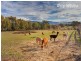 56 Bryants Gap Road, Charleroi VIC 3695