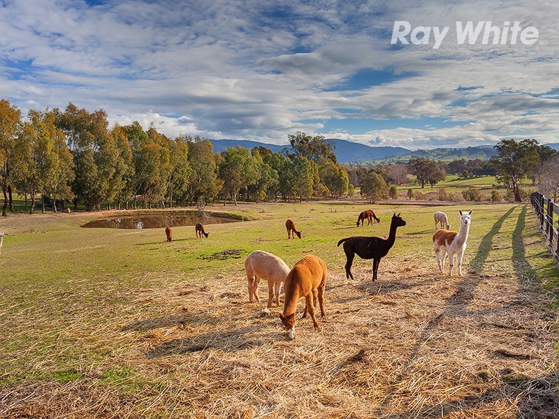 56 Bryants Gap Road, Charleroi VIC 3695