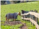 56 Bryants Gap Road, Charleroi VIC 3695