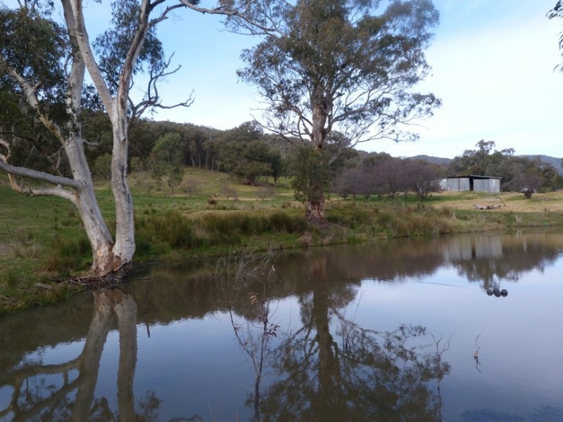 Lot 4 O’Neill Lane, Sandy Creek VIC 3695