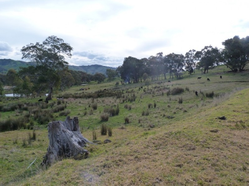 Lot 4 O’Neill Lane, Sandy Creek VIC 3695