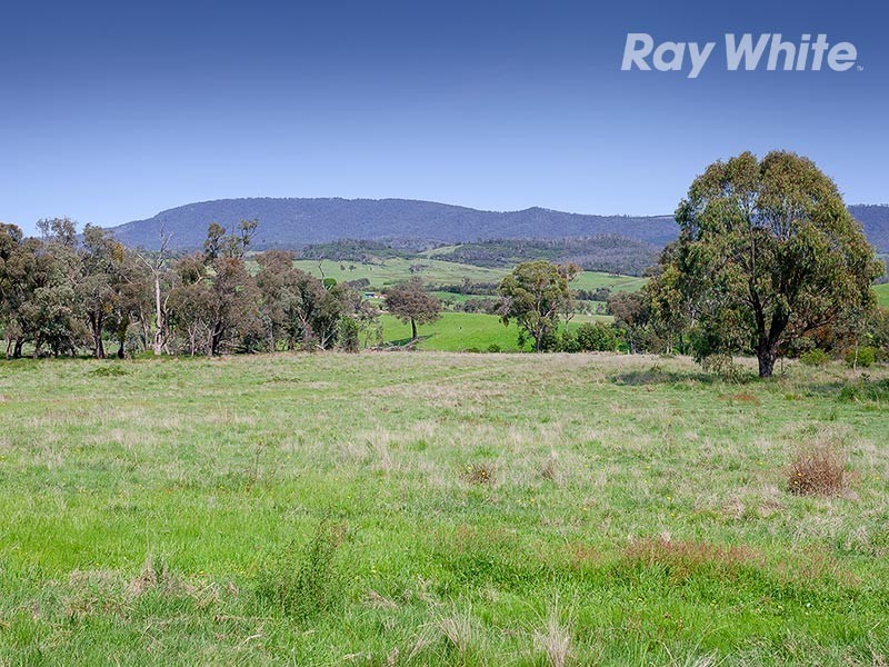 659 Dederang Road, Glen Creek VIC 3691