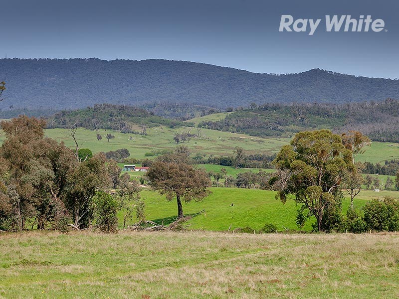 659 Dederang Road, Glen Creek VIC 3691