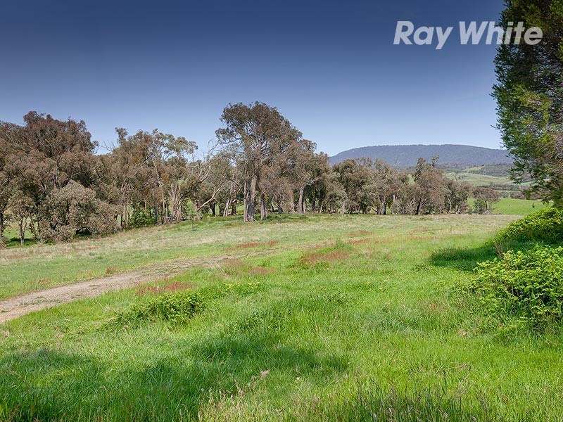 659 Dederang Road, Glen Creek VIC 3691