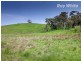 659 Dederang Road, Glen Creek VIC 3691
