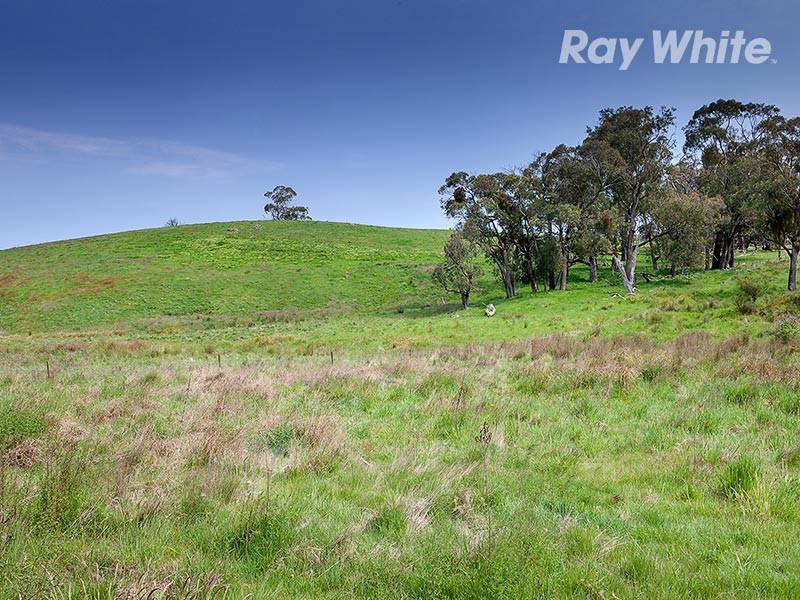 659 Dederang Road, Glen Creek VIC 3691