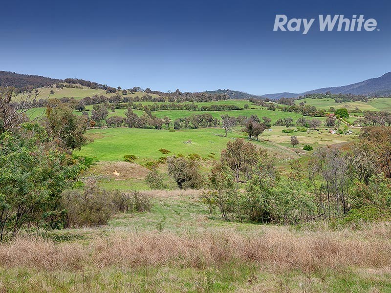 659 Dederang Road, Glen Creek VIC 3691