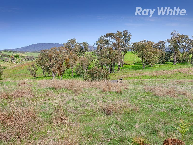 659 Dederang Road, Glen Creek VIC 3691