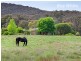 659 Dederang Road, Glen Creek VIC 3691