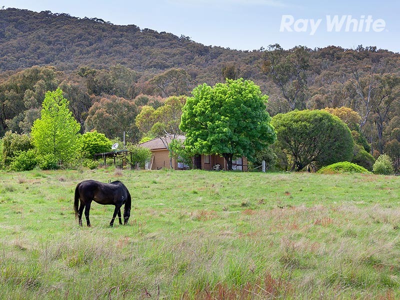 659 Dederang Road, Glen Creek VIC 3691