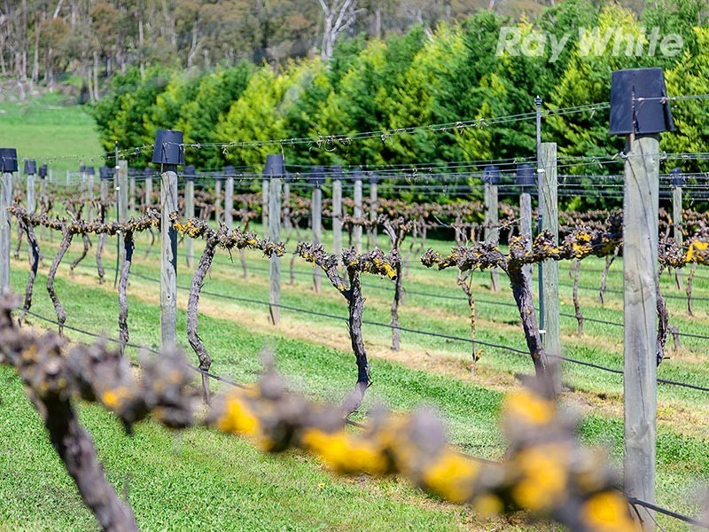 4514 Omeo Highway, Eskdale VIC 3701