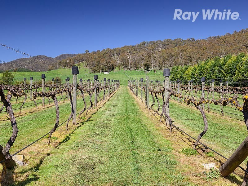 4514 Omeo Highway, Eskdale VIC 3701