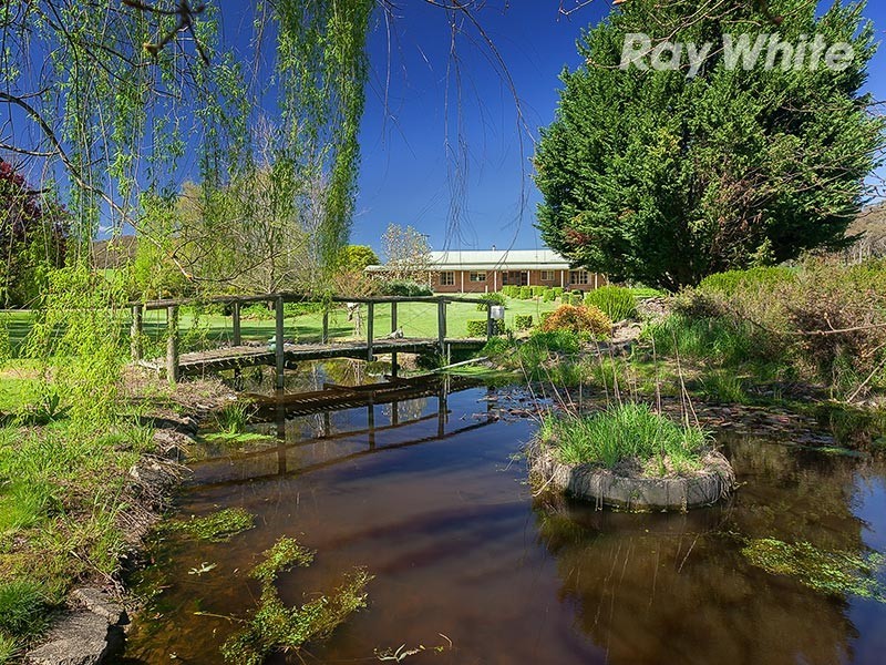 4514 Omeo Highway, Eskdale VIC 3701