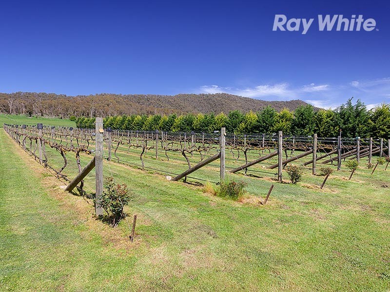 4514 Omeo Highway, Eskdale VIC 3701