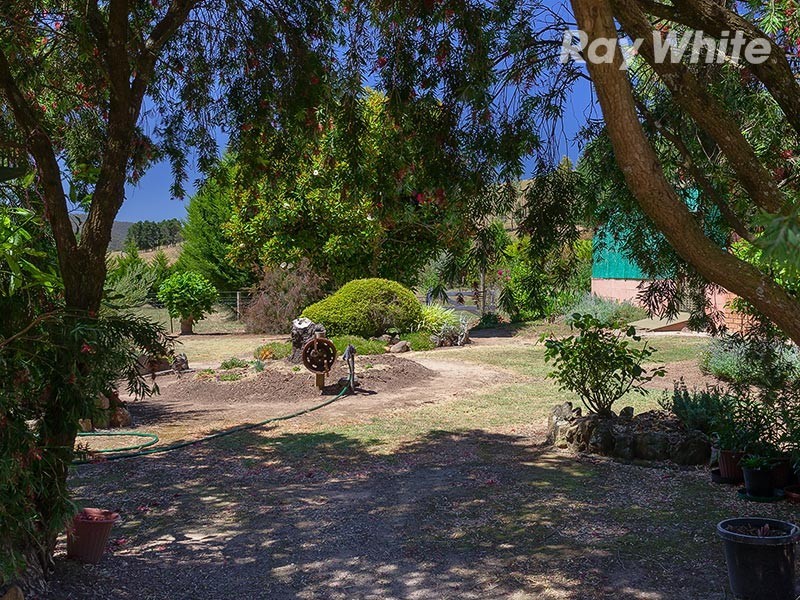 2204 Lockharts Gap Road, Tallandoon VIC 3700