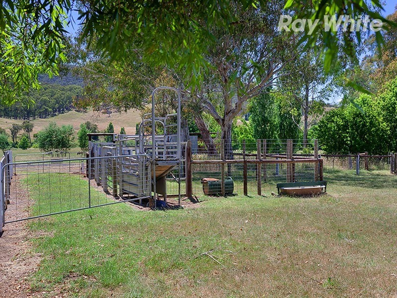 2204 Lockharts Gap Road, Tallandoon VIC 3700