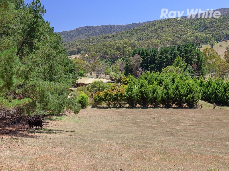 2204 Lockharts Gap Road, Tallandoon VIC 3700