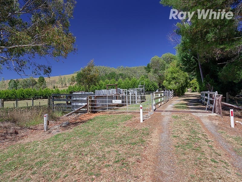 2204 Lockharts Gap Road, Tallandoon VIC 3700