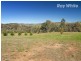 166 ONeill Lane, Sandy Creek VIC 3695