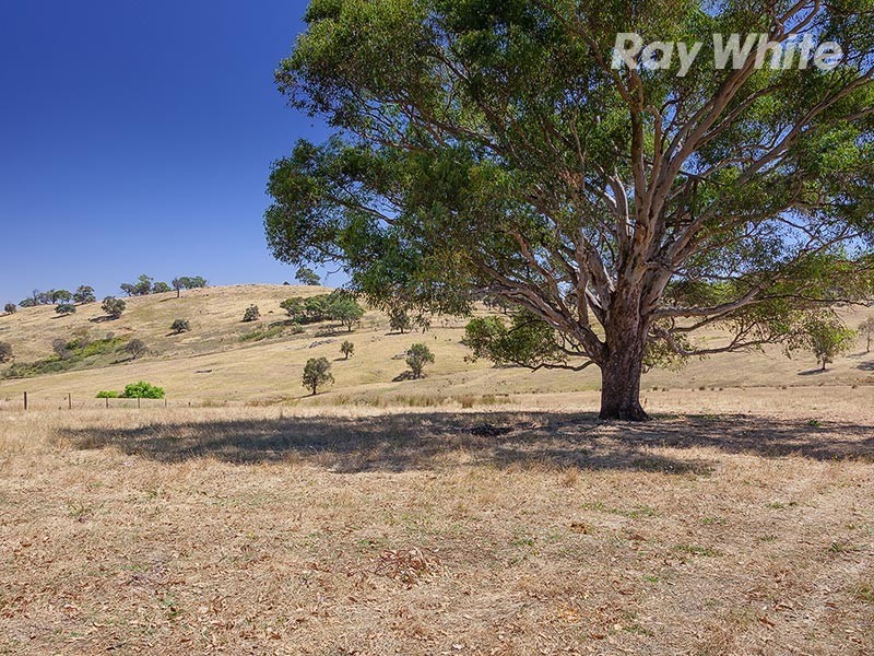 121 Saru Road, Leneva VIC 3691