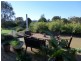 33 Water Trust Road, Chiltern VIC 3683