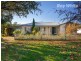 3751 Omeo Highway, Eskdale VIC 3701