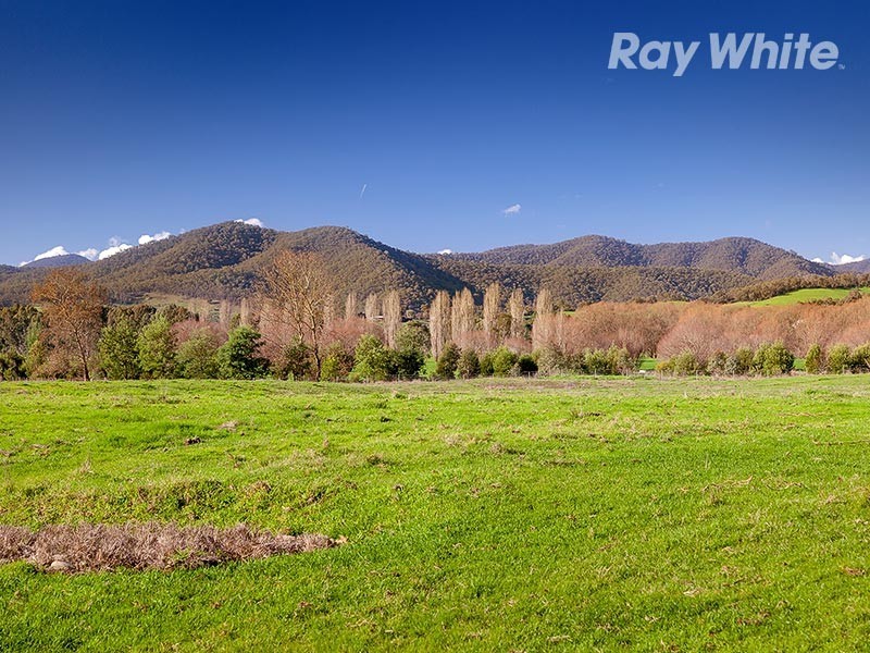 3751 Omeo Highway, Eskdale VIC 3701