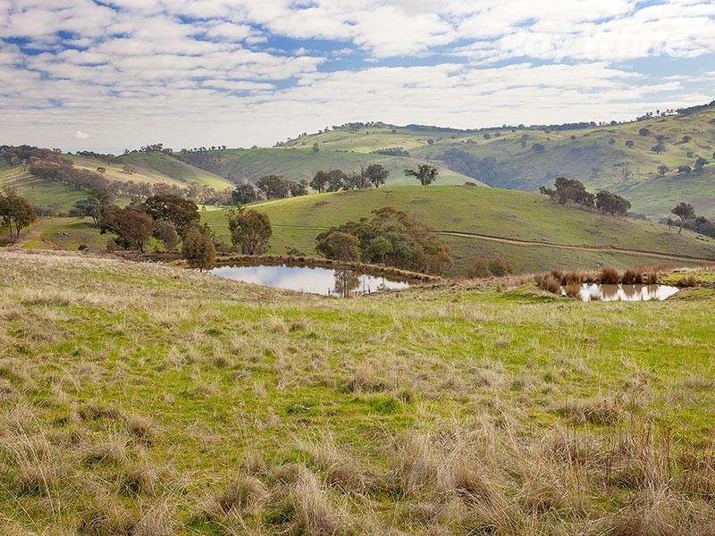 817 Huon Creek Road, Wodonga VIC 3690