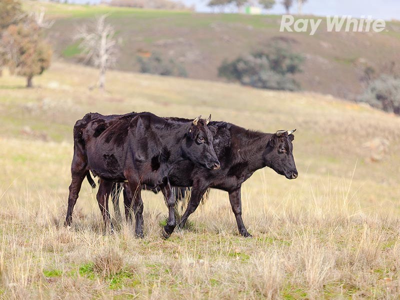 817 Huon Creek Road, Wodonga VIC 3690