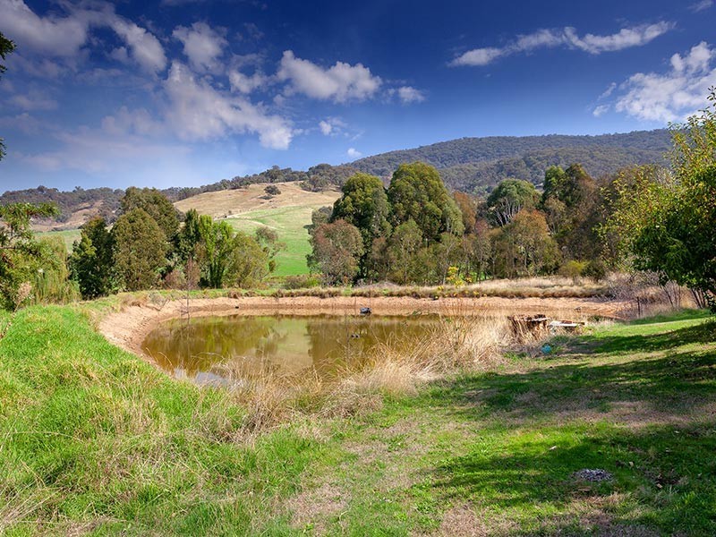 117 Fitzpatrick Drive, Baranduda VIC 3691