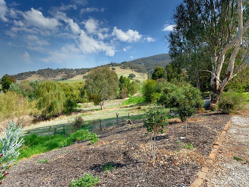 117 Fitzpatrick Drive, Baranduda VIC 3691