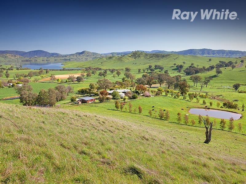 1511 Lake Road, Bethanga VIC 3691