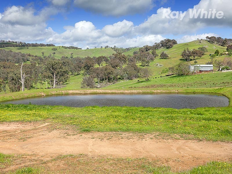 57 Gilberts Road, Wodonga VIC 3690