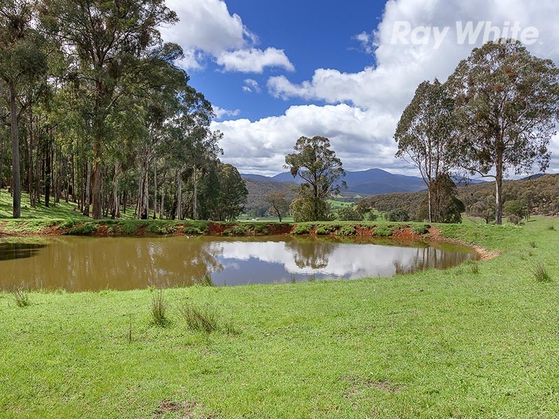 1221 Callaghan Creek Road, Mitta Mitta VIC 3701
