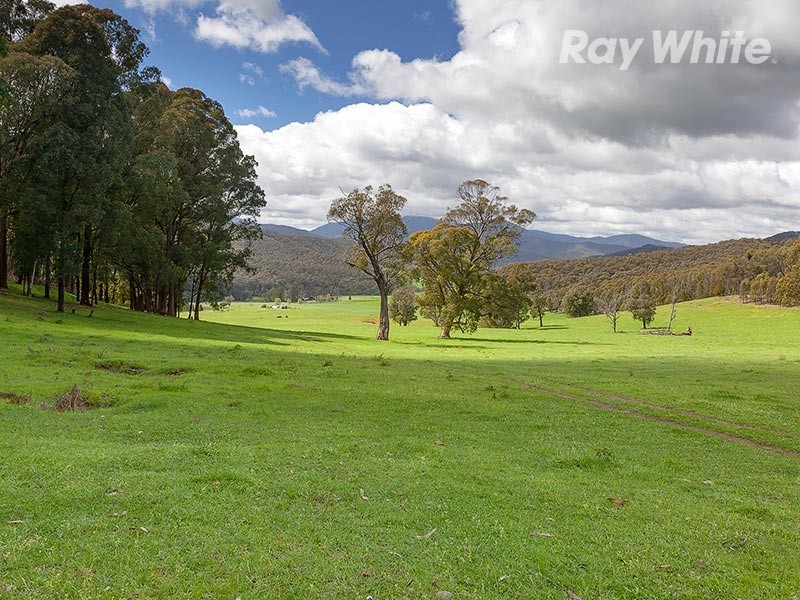 1221 Callaghan Creek Road, Mitta Mitta VIC 3701