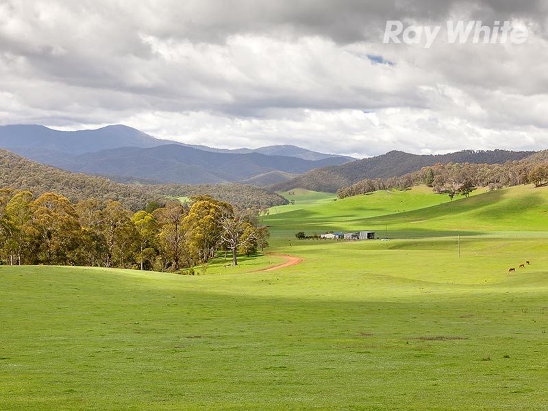 1221 Callaghan Creek Road, Mitta Mitta VIC 3701