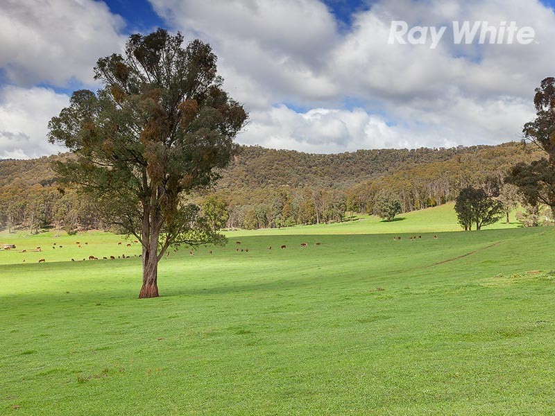 1221 Callaghan Creek Road, Mitta Mitta VIC 3701