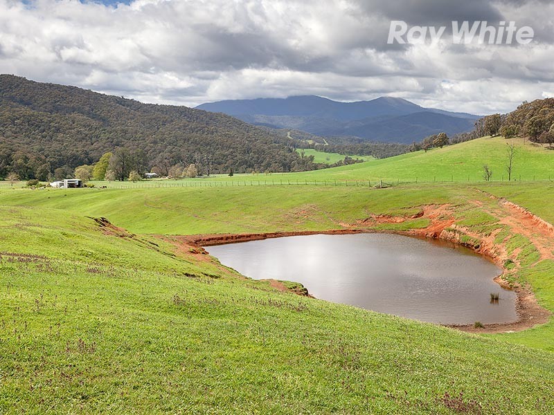 1221 Callaghan Creek Road, Mitta Mitta VIC 3701