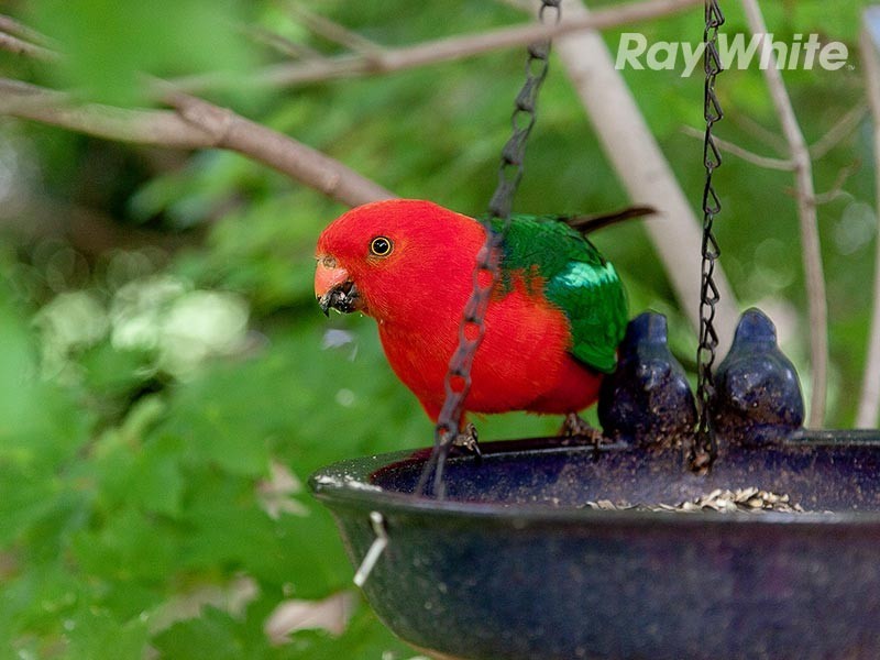 38 Howards Road, Baranduda VIC 3691