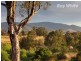338 Sanatorium Road, Allans Flat VIC 3691
