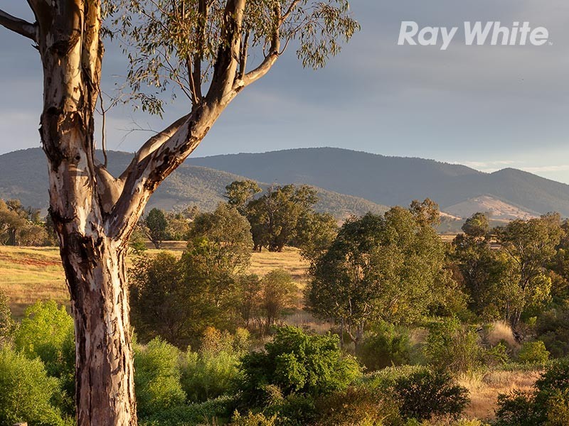 338 Sanatorium Road, Allans Flat VIC 3691