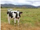 Lot 140 and 143 Meehan Lane, Yackandandah VIC 3749
