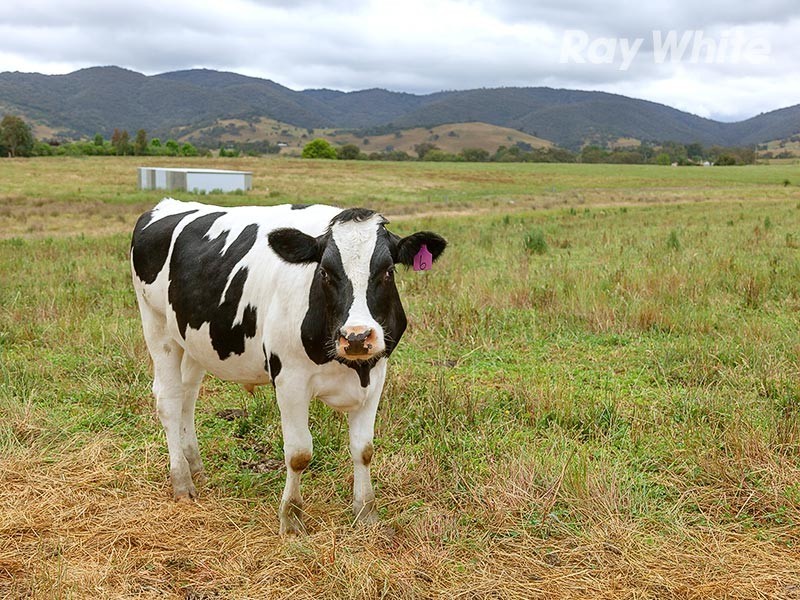 Lot 140 and 143 Meehan Lane, Yackandandah VIC 3749