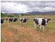 Lot 140 and 143 Meehan Lane, Yackandandah VIC 3749