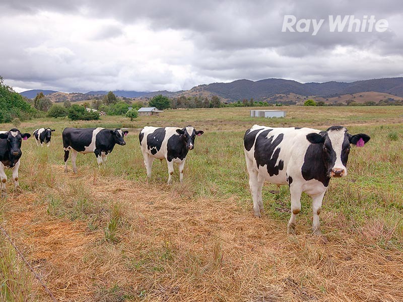 Lot 140 and 143 Meehan Lane, Yackandandah VIC 3749