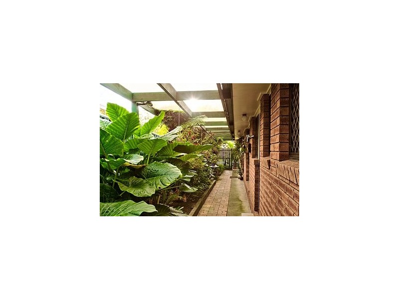 14 Wedge Court, Wodonga VIC 3690