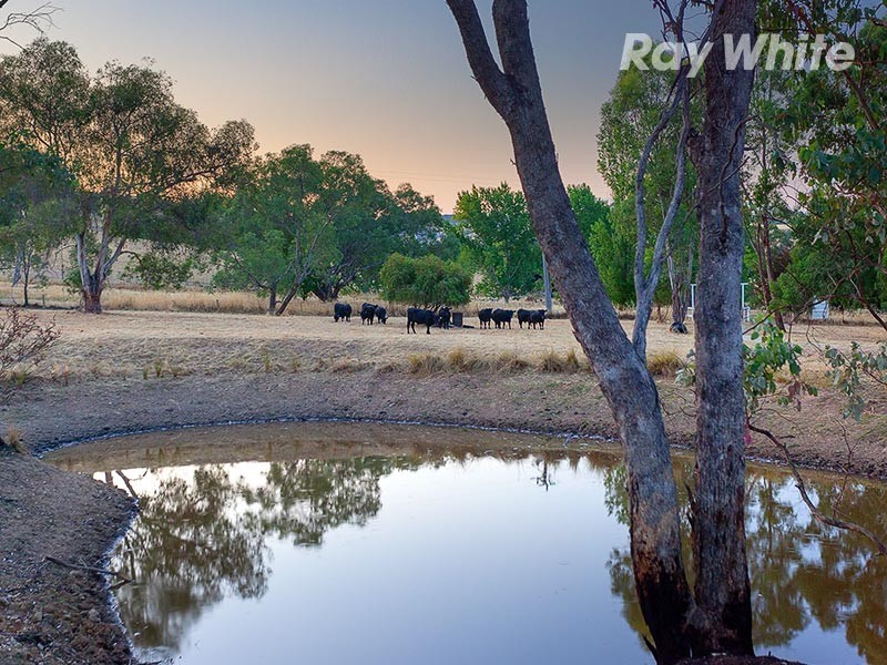 23 Spring Gully Road, Wodonga VIC 3690