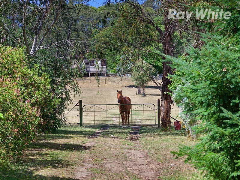 6658 Murray Valley Highway, Koetong VIC 3704